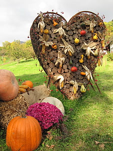 græskar, efterår, efterårs dekoration, krysantemum, Thanksgiving, grøntsager, farverige
