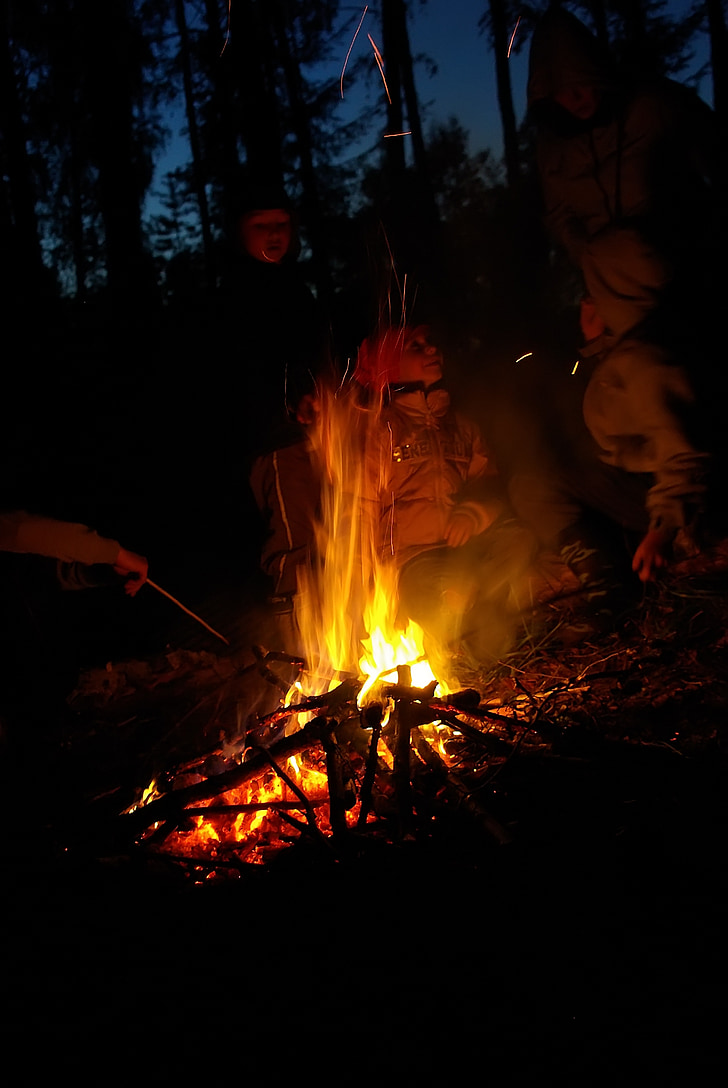 night, koster, fire, kids, burn, campfire, forest