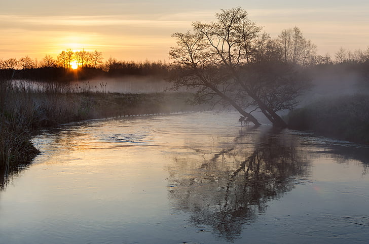 træ, floden, vand, landskab, natur, Sunset, refleksion