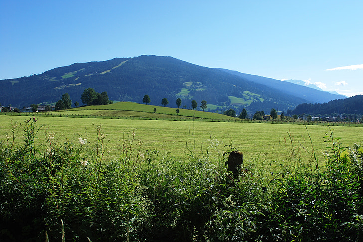 the alps, austria, europe, mountain, field