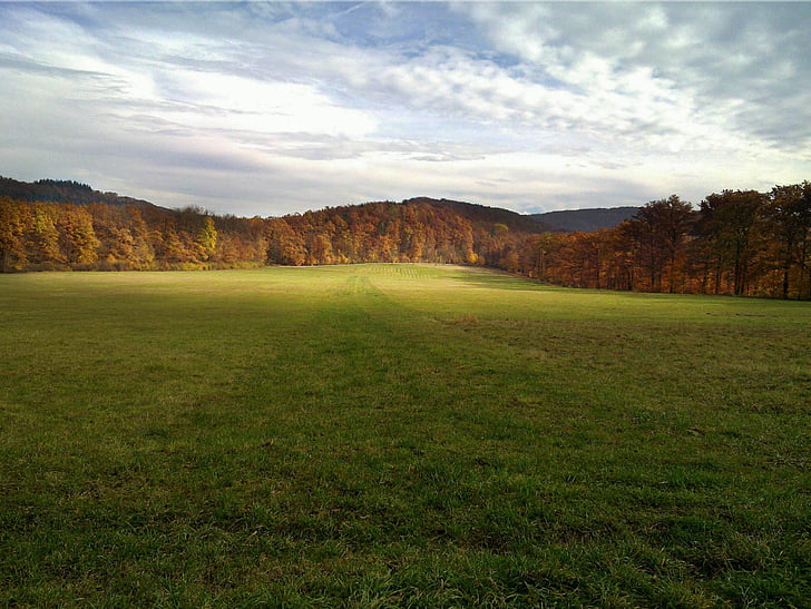 krajina, Příroda, obloha, pole, louka, Les, strom