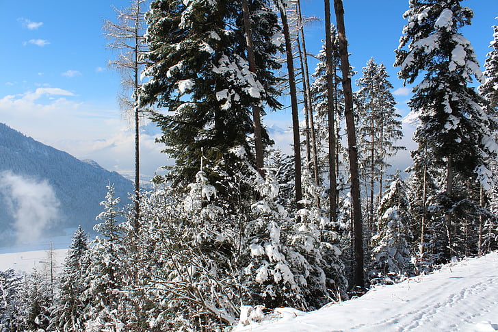 sneh, zimné športy, hory, Rakúsko, Alpy, Alpbach