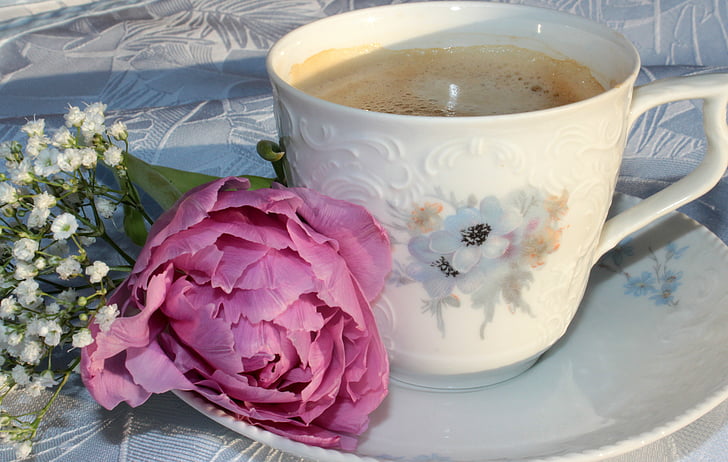 Skodelica kave, pokal, kava, krožnik, dobro jutro, koristi od, dvojno tulipanov