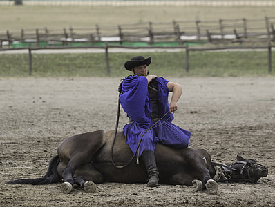 Puszta paard boerderij, Hongarije, Paardensport demonstratie, liggend paard, zittende ruiter