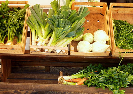 Gemüse, Sellerie, Kohl, grüne Suppe, Kohlrabi, Petersilie