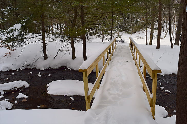 puente, nieve, bosque, corriente, Creek, invierno, naturaleza