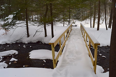 Bridge, sne, skov, Stream, Creek, vinter, natur