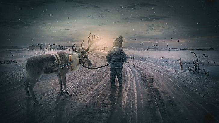 wintry, reindeer, boy, small child, landscape, moose, snow