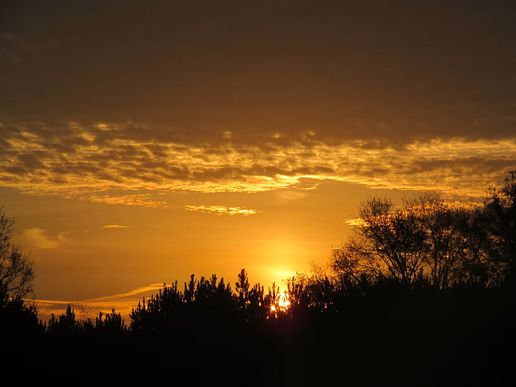 Sunrise, zlatý neba, Príroda, Príroda