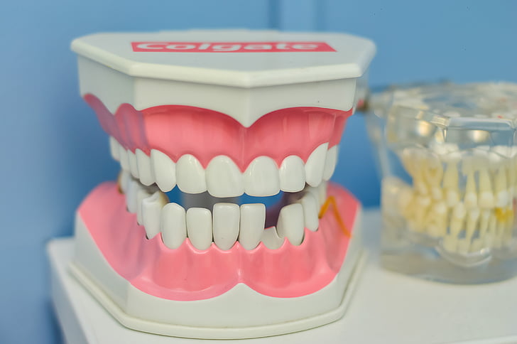 száj, fogat, macromodelo, fogorvos