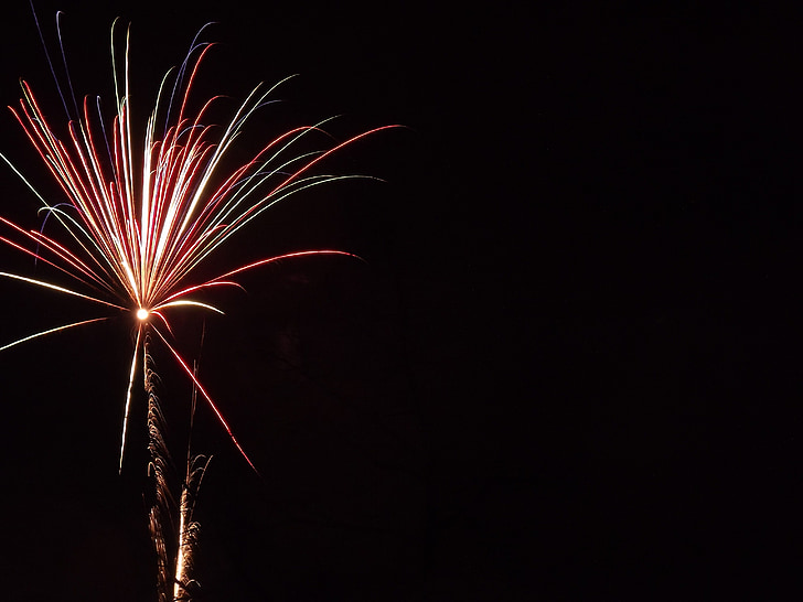 Feuerwerk, Partei, neues Jahr