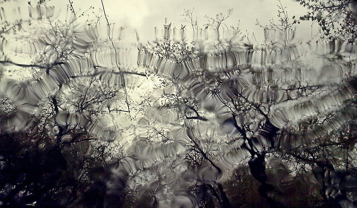 стъкло, вода, Прозорец, дъжд, капки