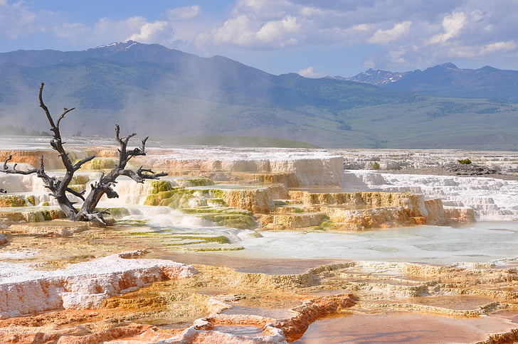 térmica, Hot springs, Yellowstone, paisagem