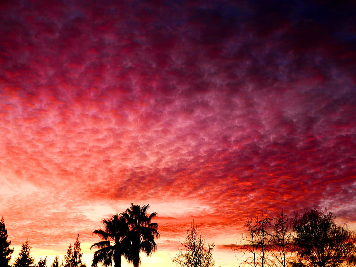 Захід сонця, небо, хмари, кольори, барвистий, рожевий, фіолетовий