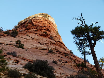 锡安国家公园, 犹他州, 美国, 景观, 峡谷, 岩石, 形成