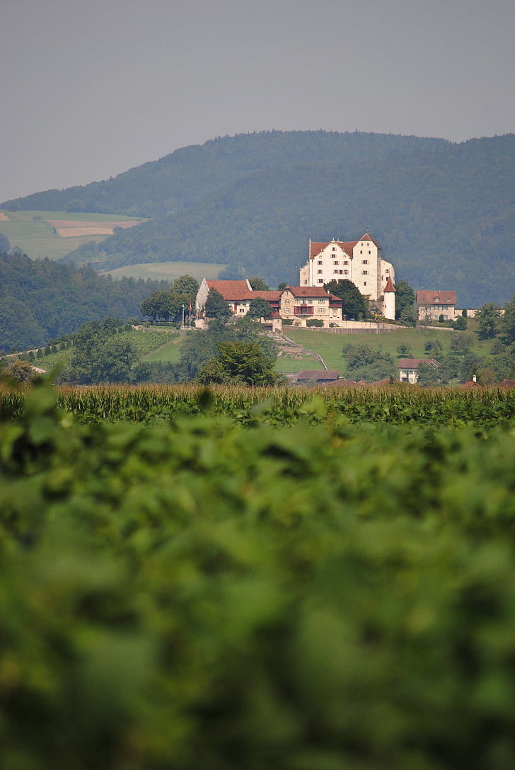 Wildegg, dvorac, Aargau, Švicarska, krajolik, srednji vijek