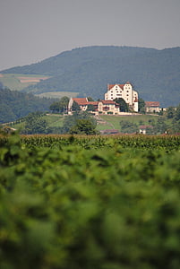 Вильдегга, Замок, Aargau, Швейцария, пейзаж, средние века
