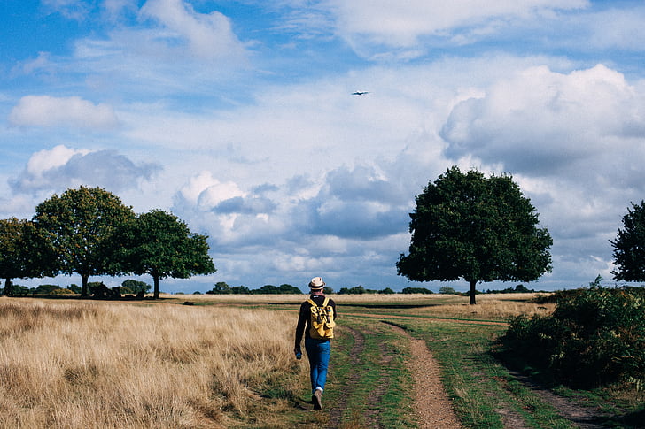 walking, person, wearing, knapsack, across, hay, field