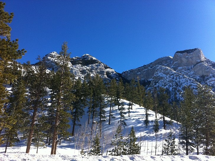 montaña, Utah, Cala del pato, nieve, esquí de fondo, snowboard, snowboard