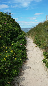 Wangerooge, dunas, solidão, buckthorn mar, praia, Embora