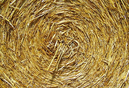 close-up, crop, dry, hay, hay bale, rolled, bale