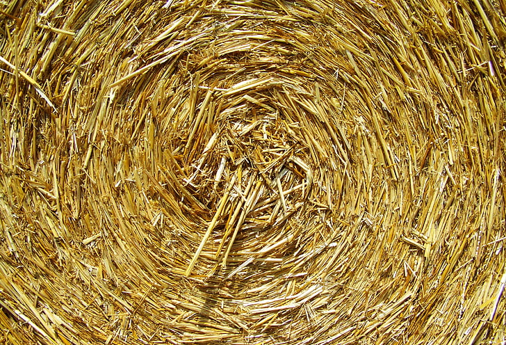 straw bale, compressed grain drying, works, hay, bale, straw, agriculture