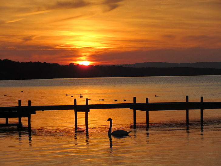 solnedgång, havet, Swan, brygga, humör