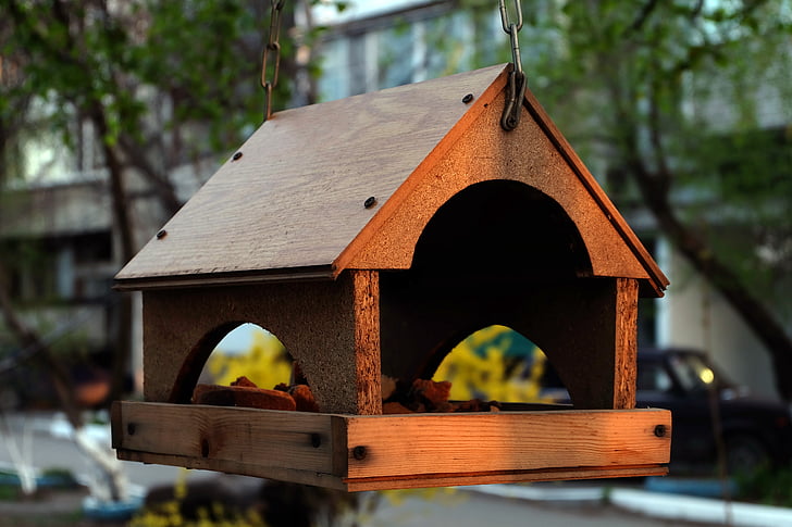 Birdhouse, huis voor vogels, ochtend, lente, bomen, natuur, feeder