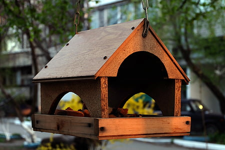 Birdhouse, rumah burung, pagi, musim semi, pohon, alam, pengumpan