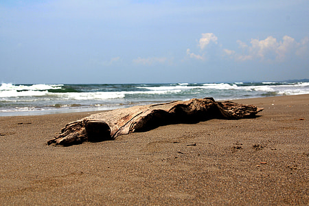 плаж, дървен материал, Веракрус, Мексико, пясък, море, вълни