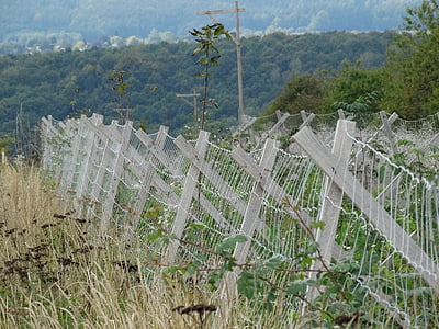 plot, Ochrana přírody, podzim, Příroda, dřevěný plot, v lůně Titánů