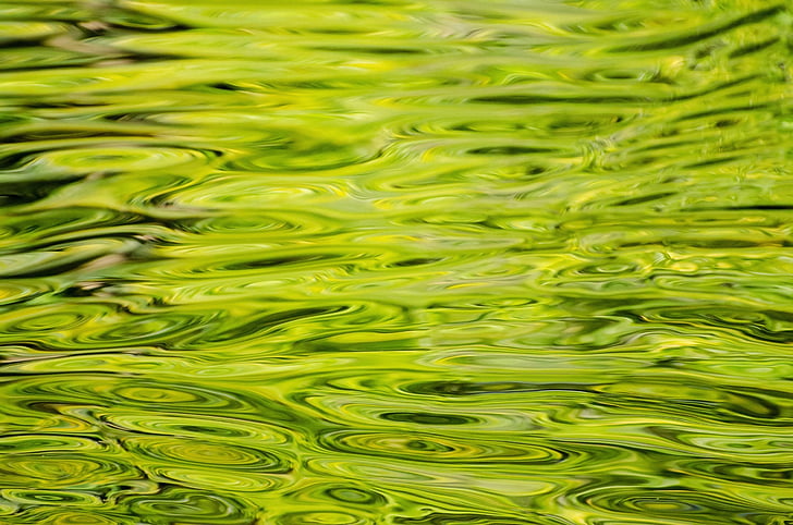 água, plano de fundo, padrão, verde, close-up, elemento
