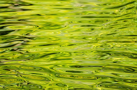 víz, háttér, minta, zöld, közeli kép:, elem