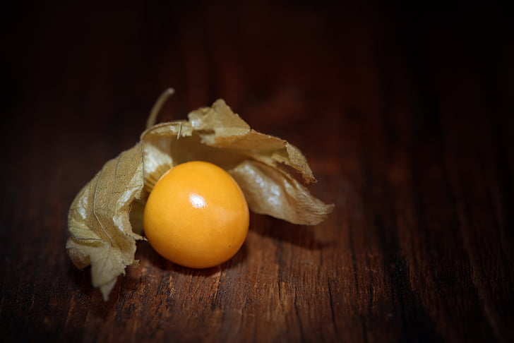 Physalis, Goudbes, Cape gooseberry, Andes cherry, Andes berry, Bubble kersen, Oranje
