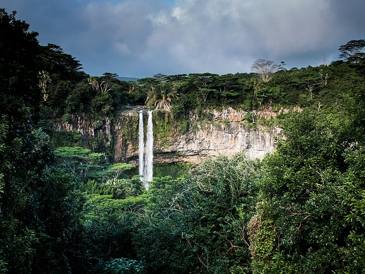 Wasserfall, Dschungel, Klippe, Stream, Wald, Wasser, Natur
