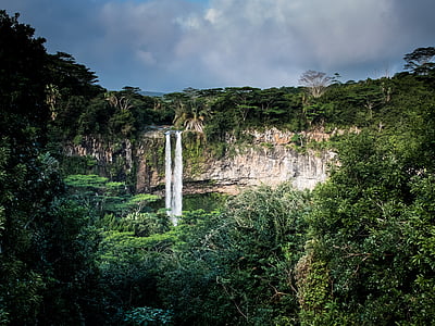 waterfall, jungle, cliff, stream, forest, water, nature