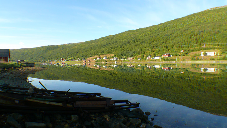 Fjord, Norra, maastik, metsa