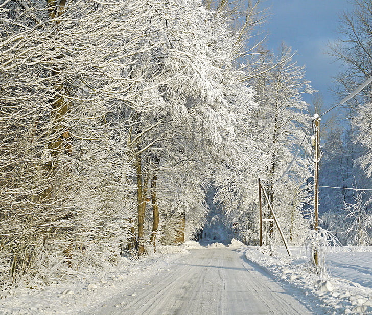 v zimski gozd, sneg, obremenitev snega, Gozdna pot, zimske sanje, zasneženih, narave