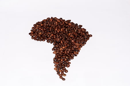 kaffebönor, kaffe, drycken, koffein, brygden, kaffebryggare, Aroma
