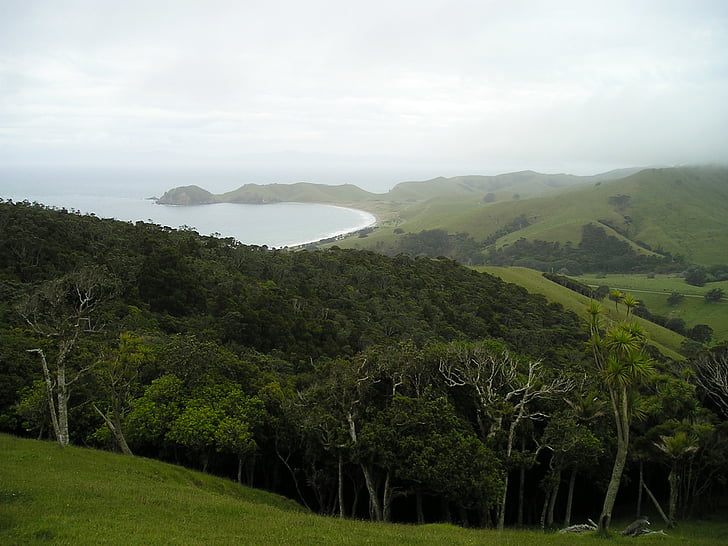 Yeni Zelanda, ayırtıldı, Yeşil, manzara, North Island