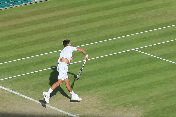 Novak jokovic, Mens tennis, tournoi de Wimbledon, pelouse, servir, sport, tennis