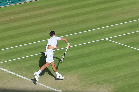 Novak jokovic, tenis hombre, Wimbledon, césped, servir, deporte, tenis