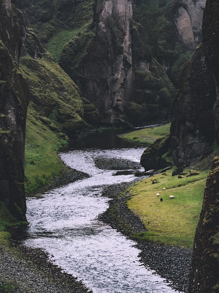 rocks, river, water, green, grass, moss, hill