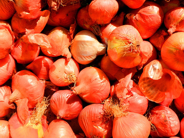 onion, food, vegetables, vegetable, harvest, autumn