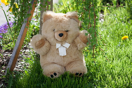 mainan lunak, berbulu boneka beruang, Teddy, yg suka diemong, lembut, Taman, alam