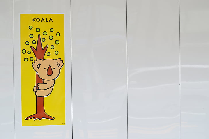 Koala, väggen, klistermärke, stiker, ritning, gul, Cartoon