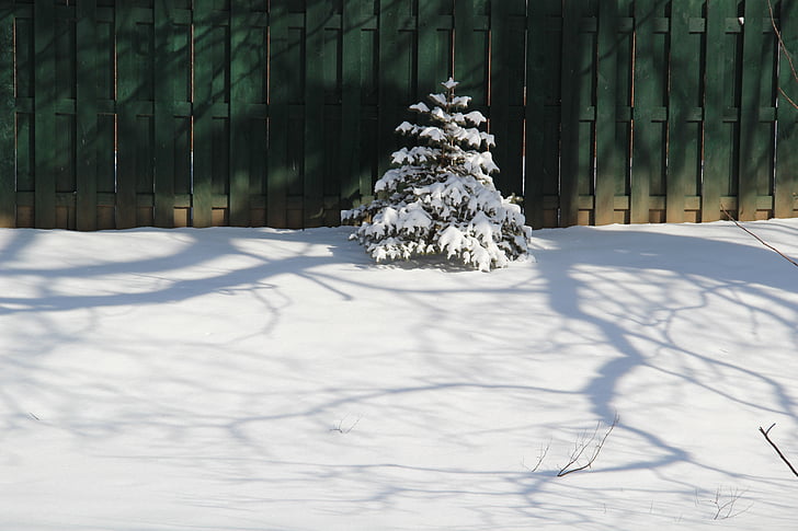 Boże Narodzenie, drzewo, śnieg, płot, zimowe