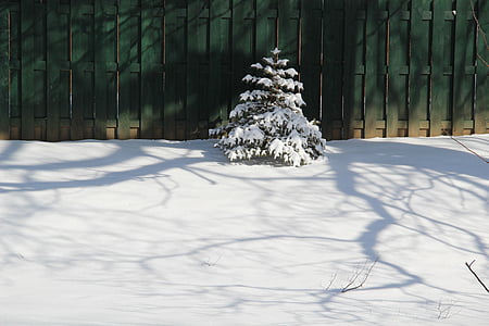 Коледа, дърво, сняг, ограда, зимни