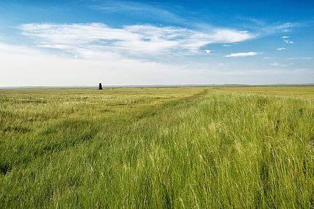 Krok, nie równiny dolarów, Pomoc ruiny wielką wanną, łąka, horyzont, Lipiec, Mongolia