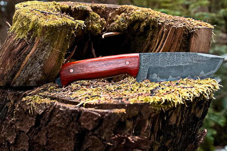 Les, nůž, kmen stromu